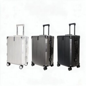 Spinner Trolley Suitcase